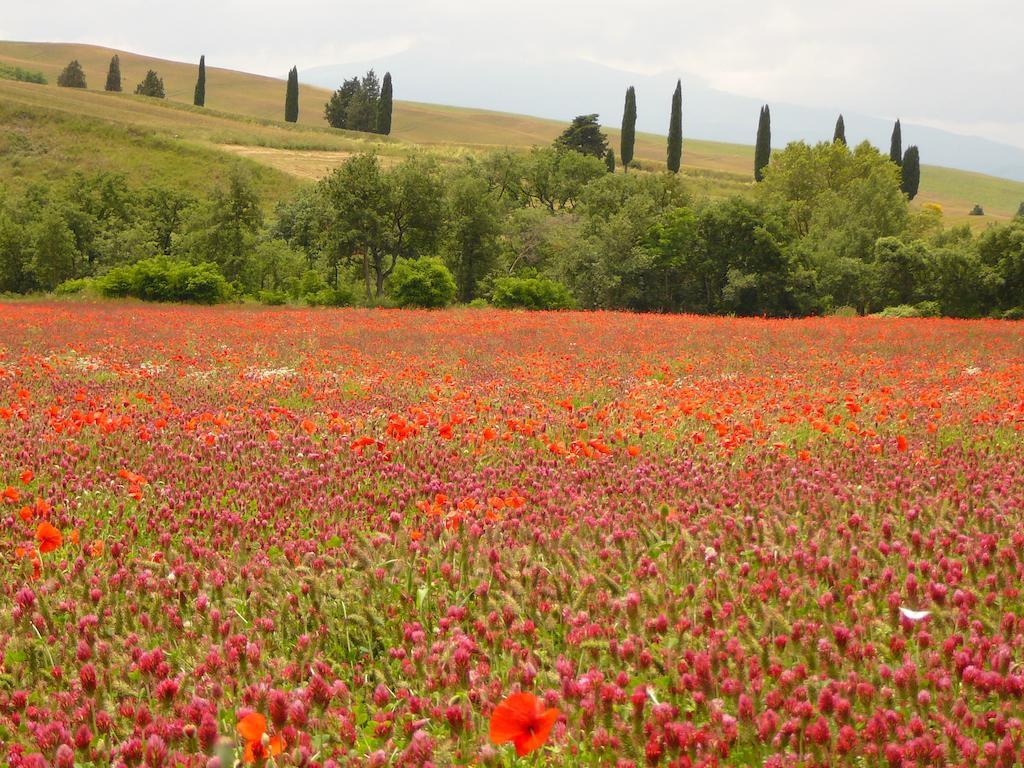 Agriturismo Casalpiano Pienza Eksteriør bilde