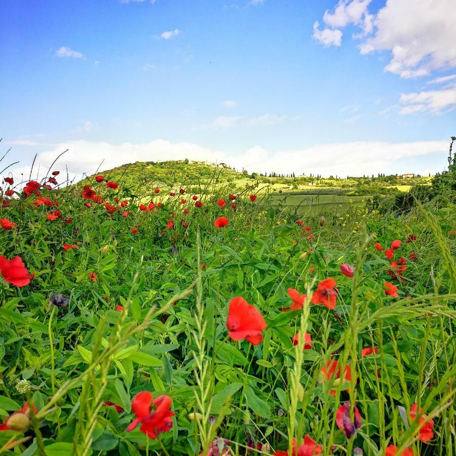 Agriturismo Casalpiano Pienza Eksteriør bilde